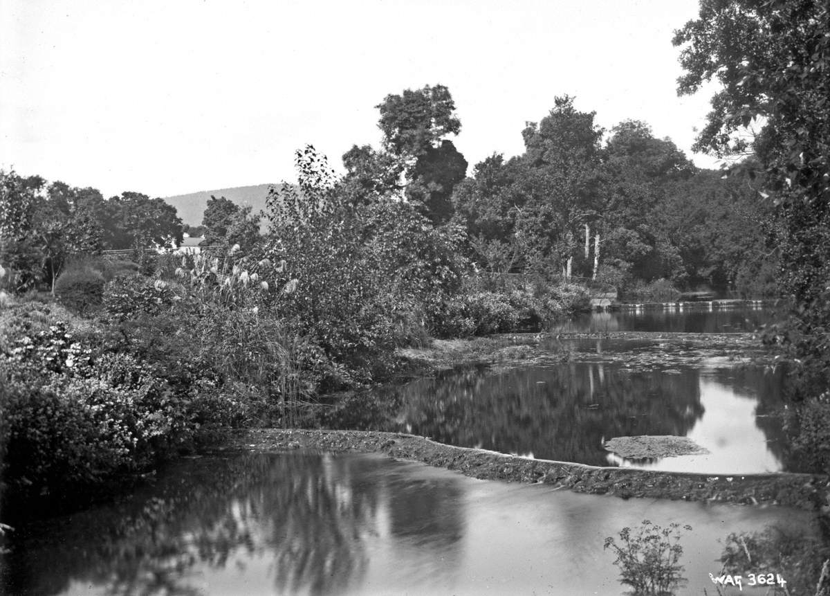 Untitled (a river view, unidentified)