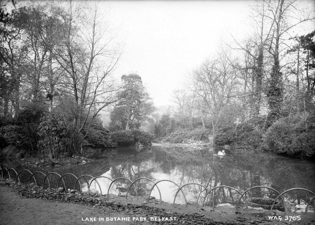 Lake in Botanic Park, Belfast