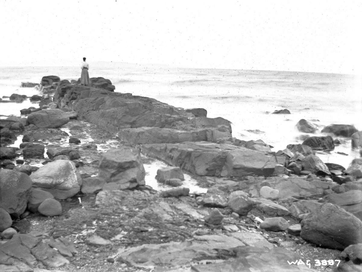 Untitled (a view of the North Star Dyke, Ballycastle, taken in August 1907, with lady for scale)