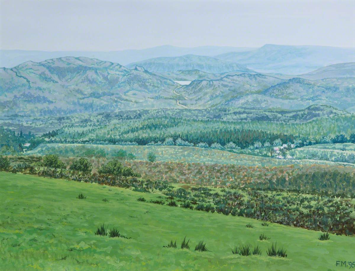 Fermanagh Landscape from Lough Navar