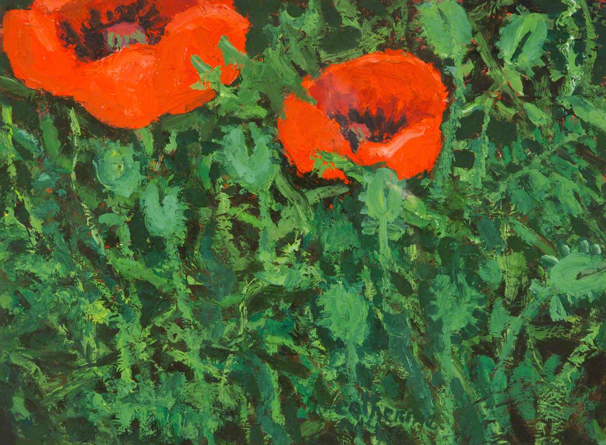 Poppies 1