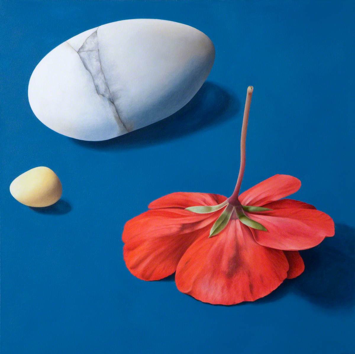 Pebbles with a Red Flower