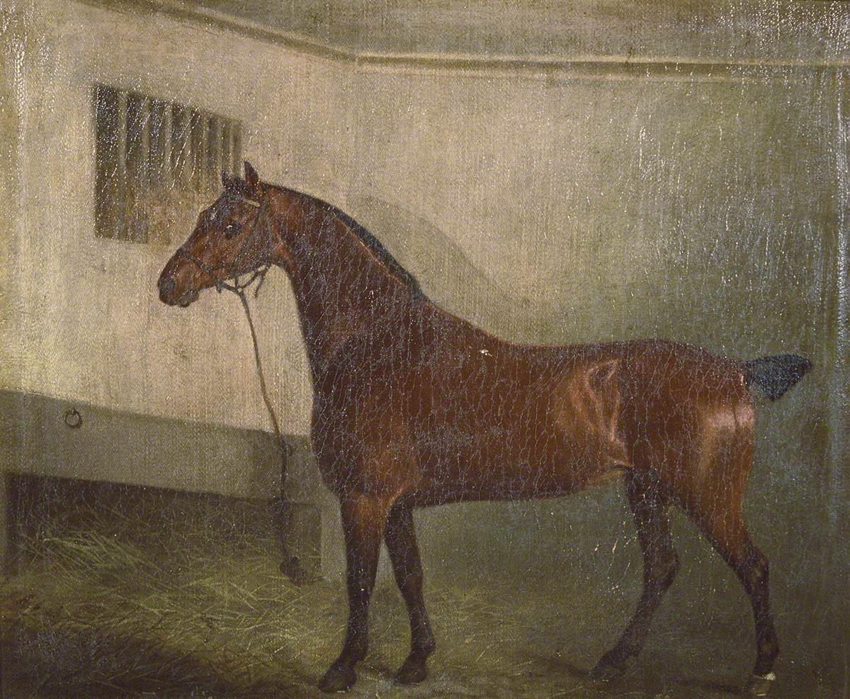 Portrait of a Hunter in a Stable