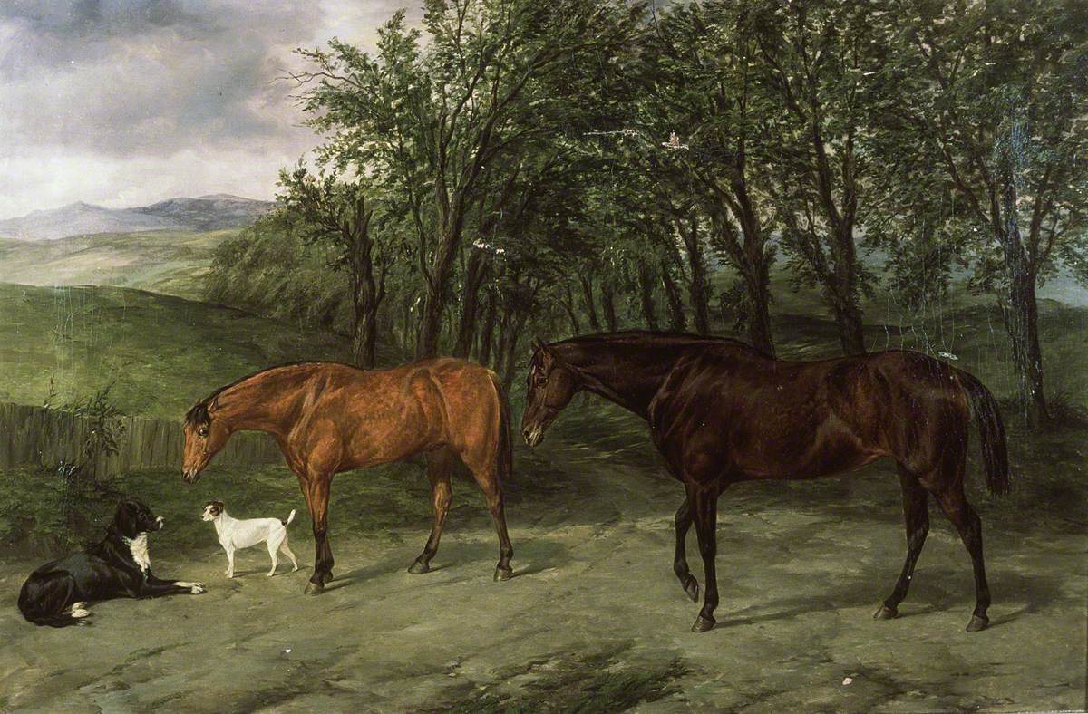 Portrait of Hunters, 'Honey' and 'Heckford'