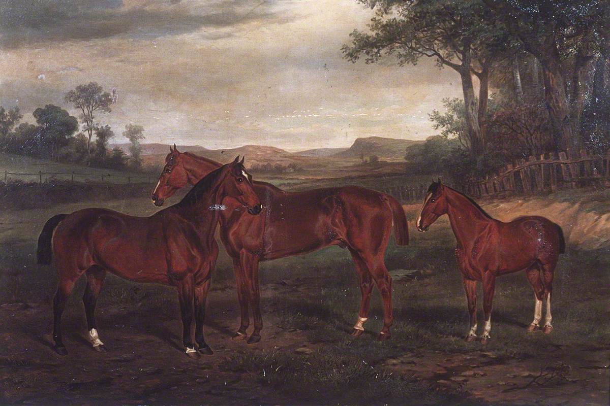 'Sam', 'Bowler' and 'Farmer', 1860