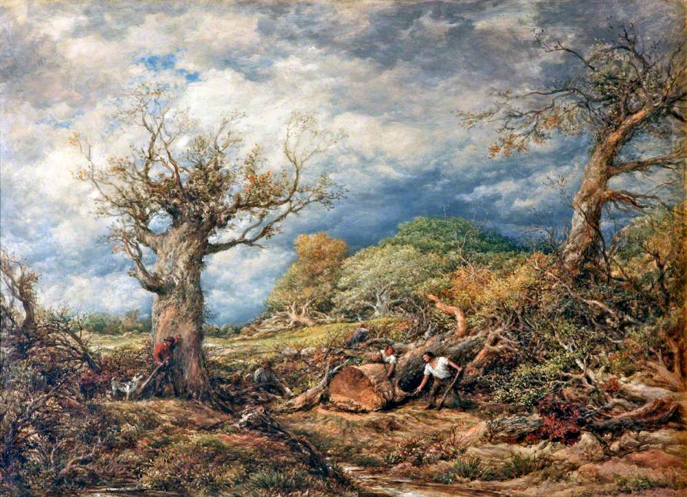 The Woodcutters