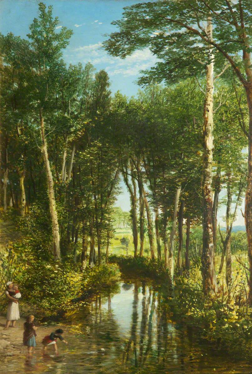 Woodland Scene