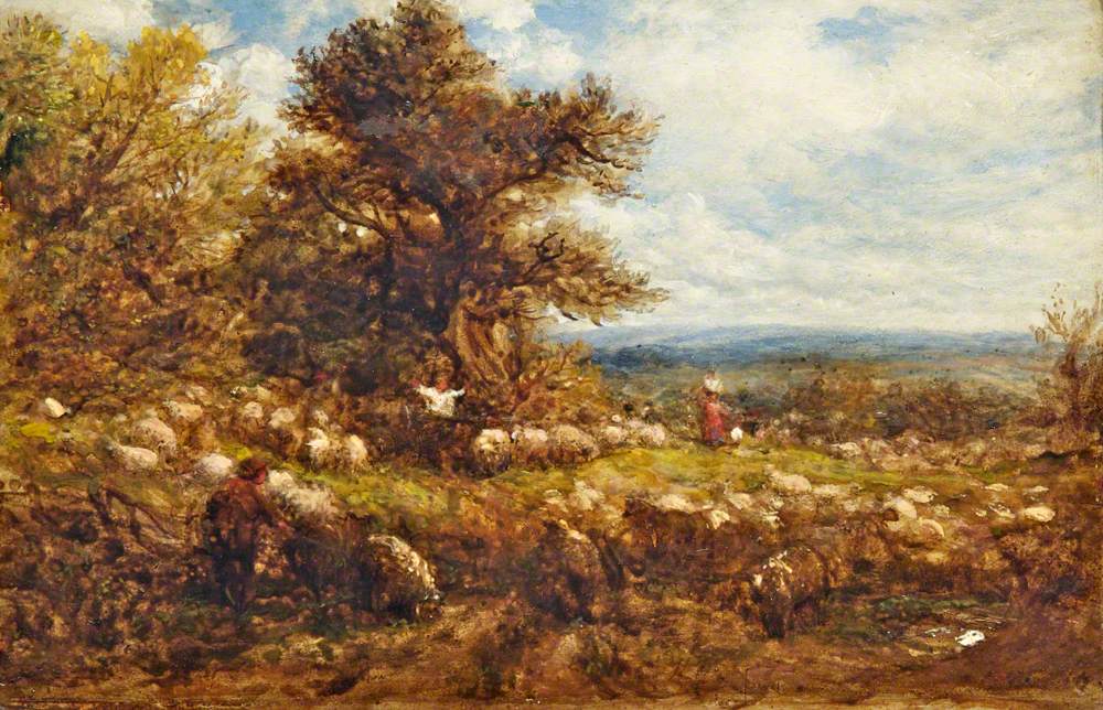 Sheep Changing Pastures (Landscape with Sheep)