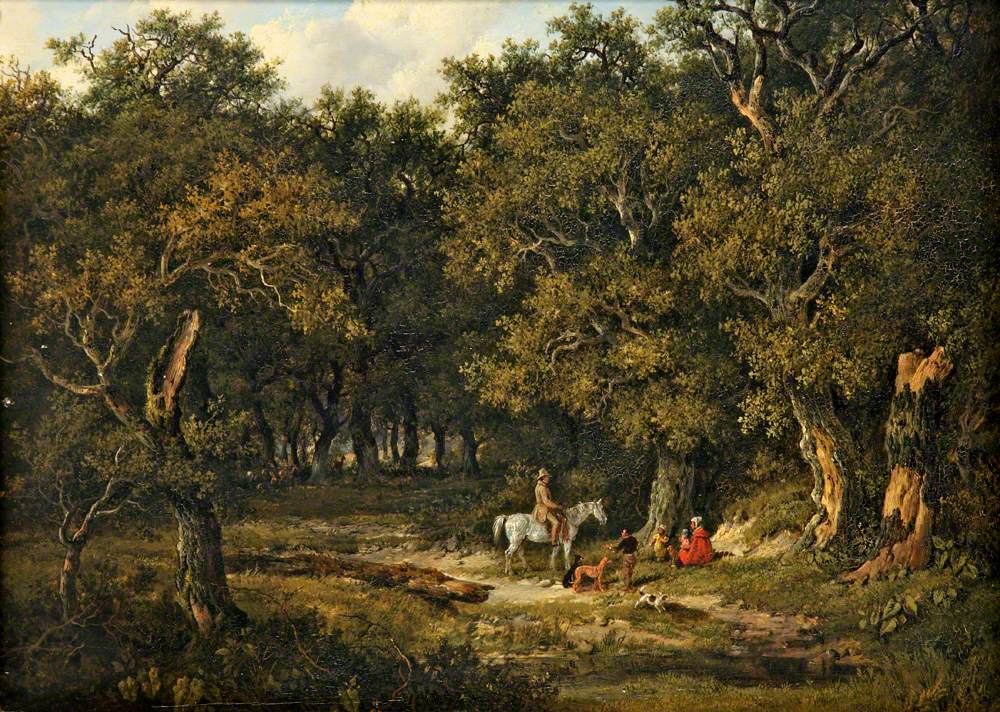 Forest Scene