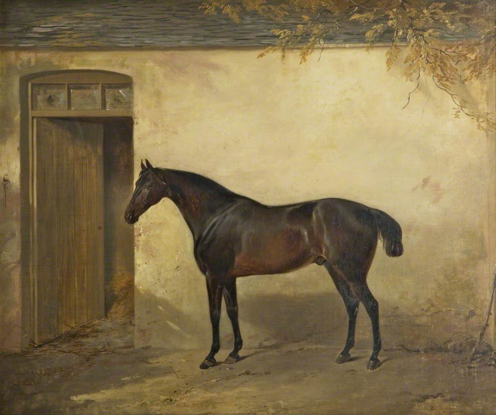 Bay Horse Outside a Stable Door