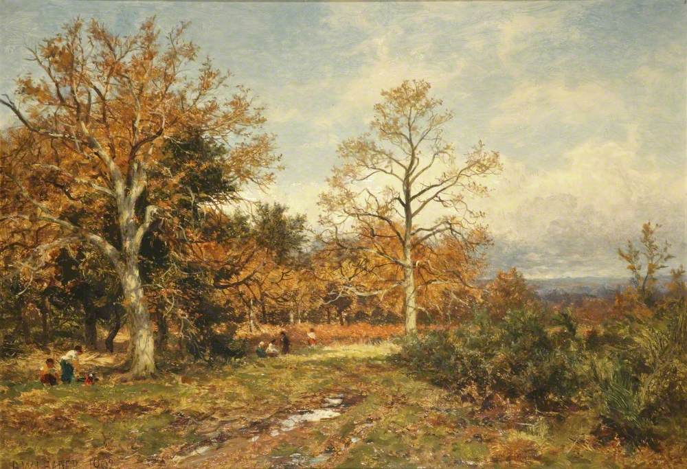 Autumn in a Surrey Wood