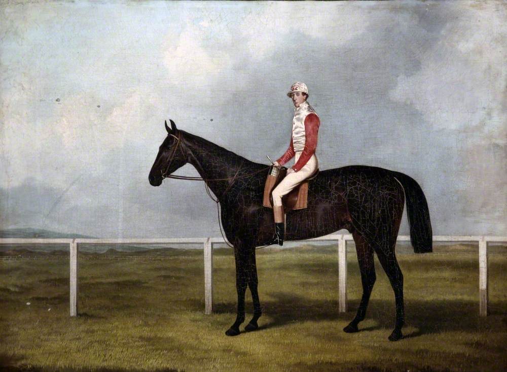 A Racehorse with Jockey Up, on a Racecourse