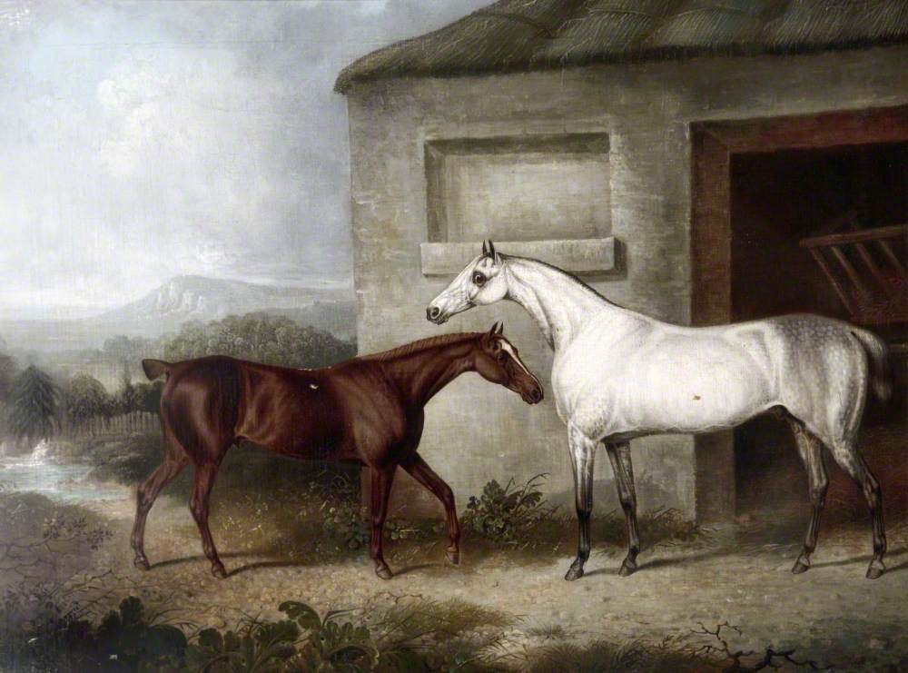 A Grey Racehorse and a Brown Foal Standing Outside a Stable