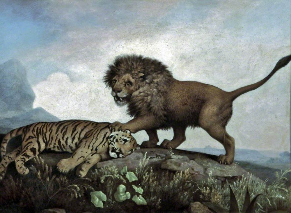 A Lion and Tiger