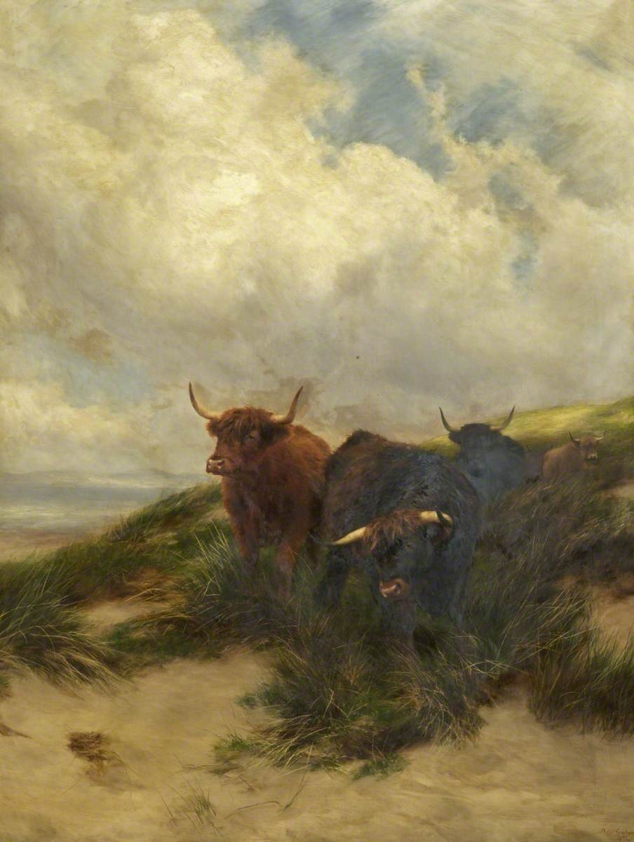 On the Dunes