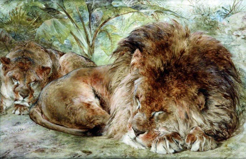 Siesta, Sleeping Lions