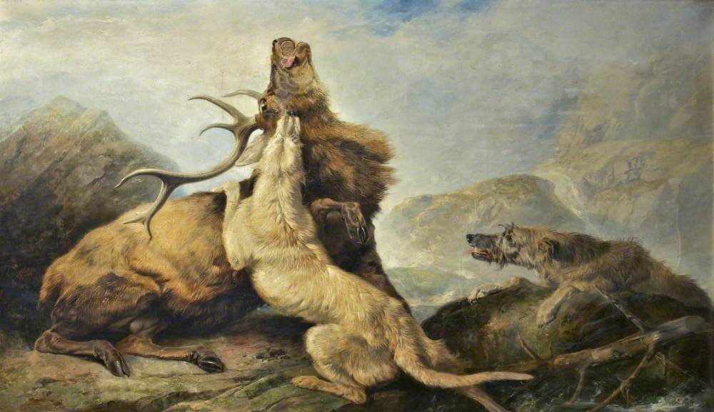 Death of the Stag