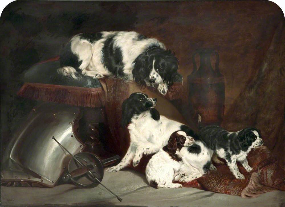 Two King Charles Spaniels and Their Pups