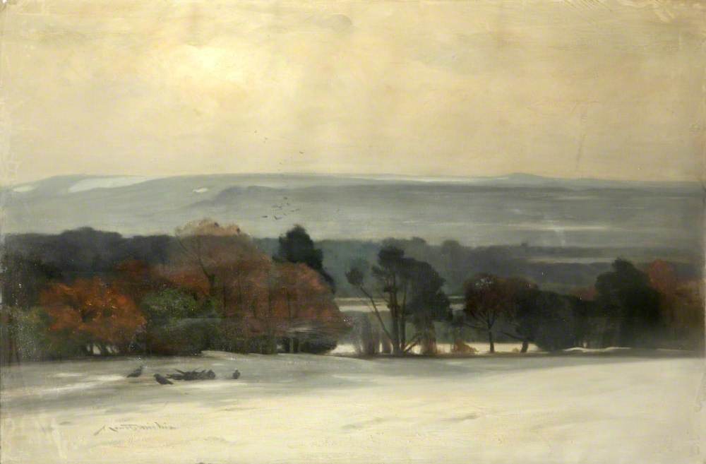 Winter in Surrey
