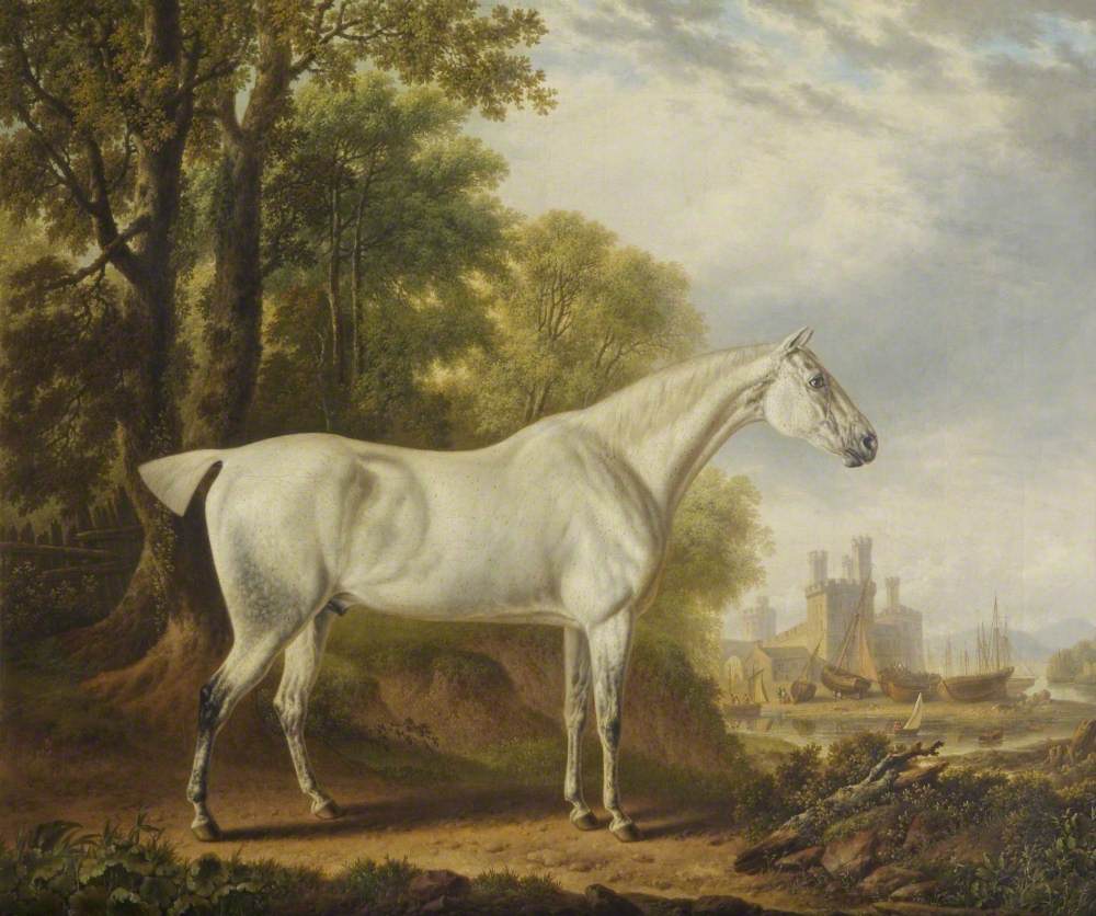 'Billy' a Favourite Horse of James Dearden, Esq.