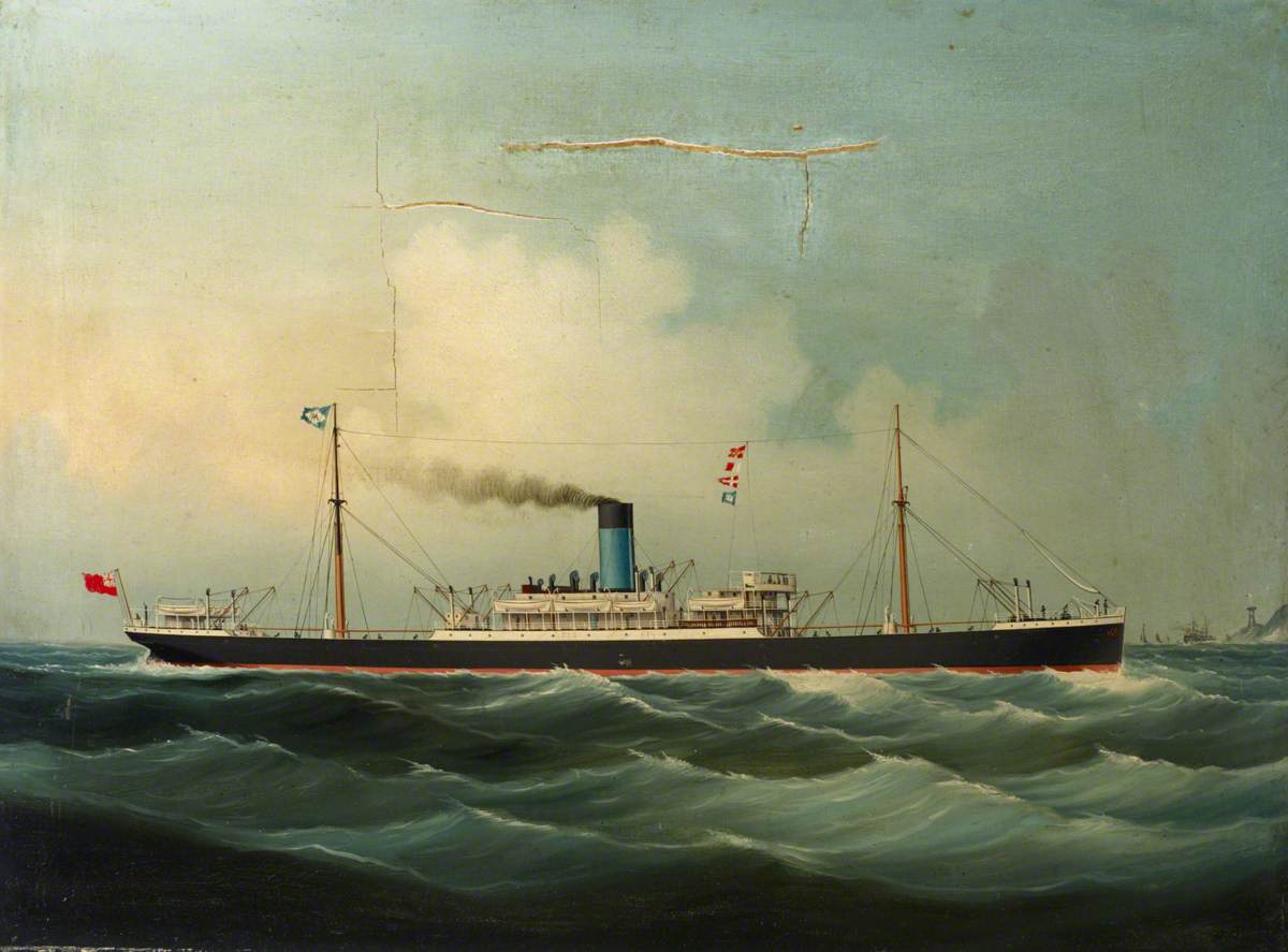 The Steamship 'Machaon'