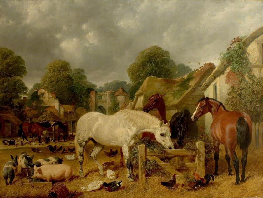Horses in a Paddock