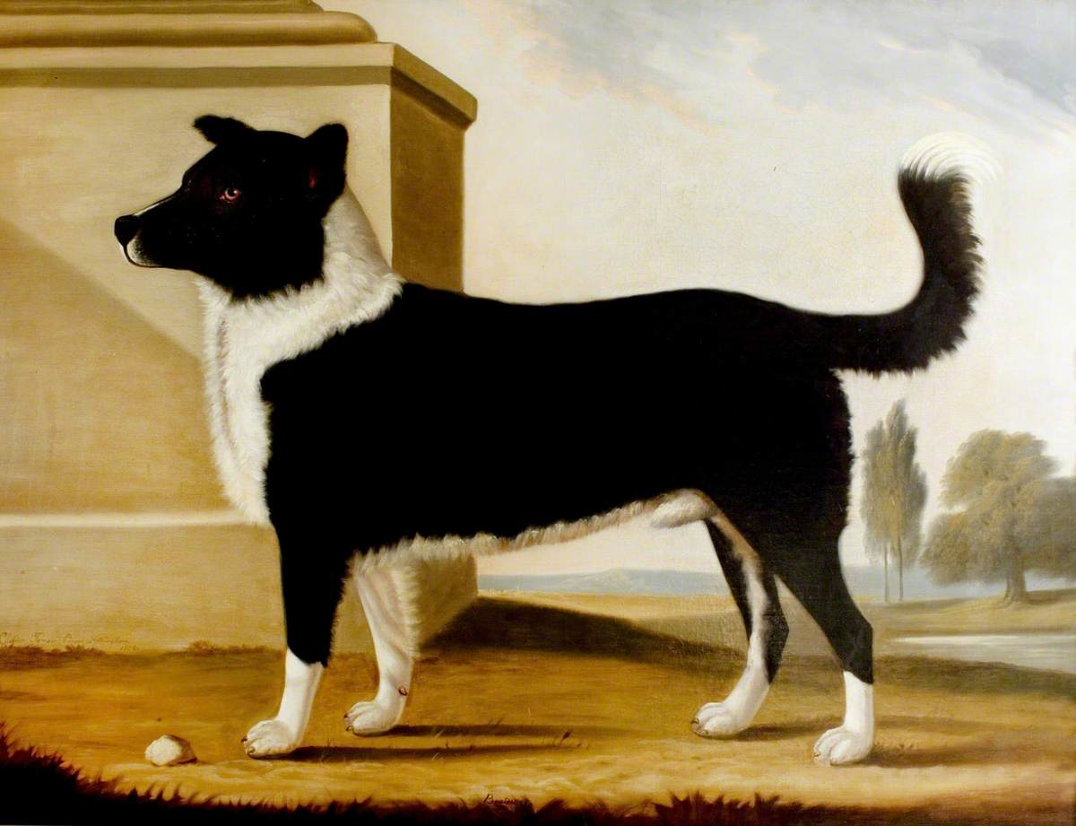 Lord Byron's Dog 'Boatswain' (1803–1808) (The Newfoundland)