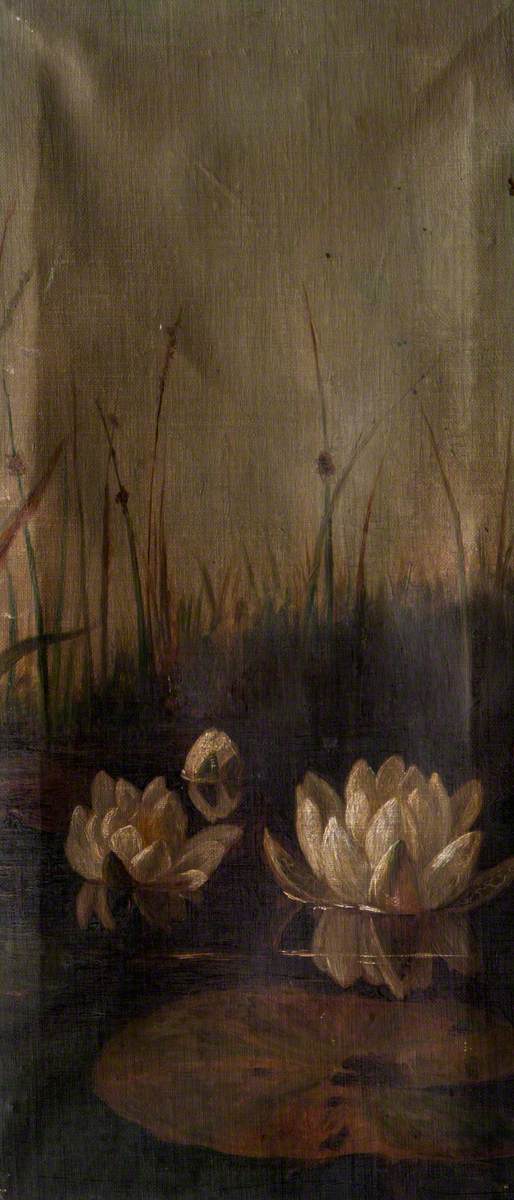 Water Lilies