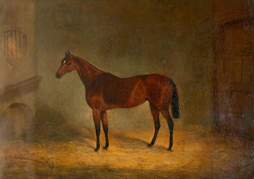 ‘Lady Liverpool’, a Bay Horse in a Stable
