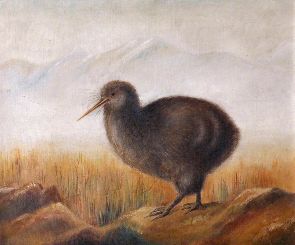 A Kiwi in a Landscape