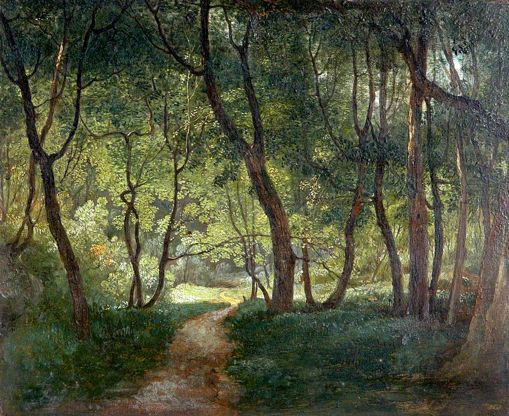 A Woodland Path