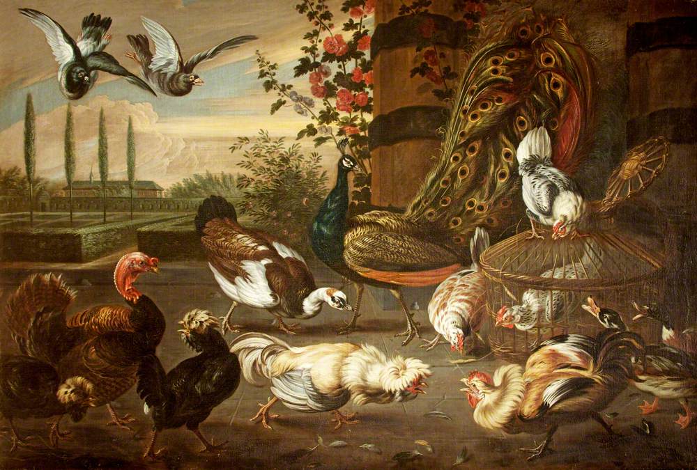 A Cockfight, with Hens, a Peacock, a Muscovy Duck, a Turkey and Pigeons in a Garden Setting