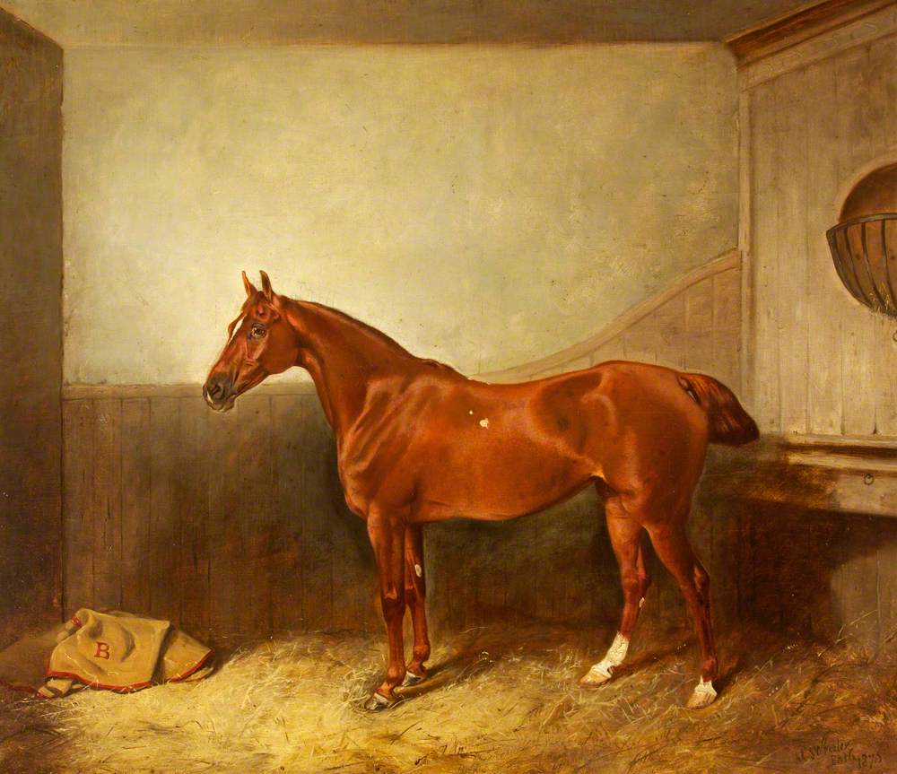 A Chestnut Hunter with a White Blaze in His Stable