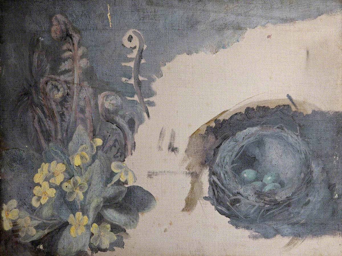Studies of Primroses, Ferns and a Bird's Nest with Eggs