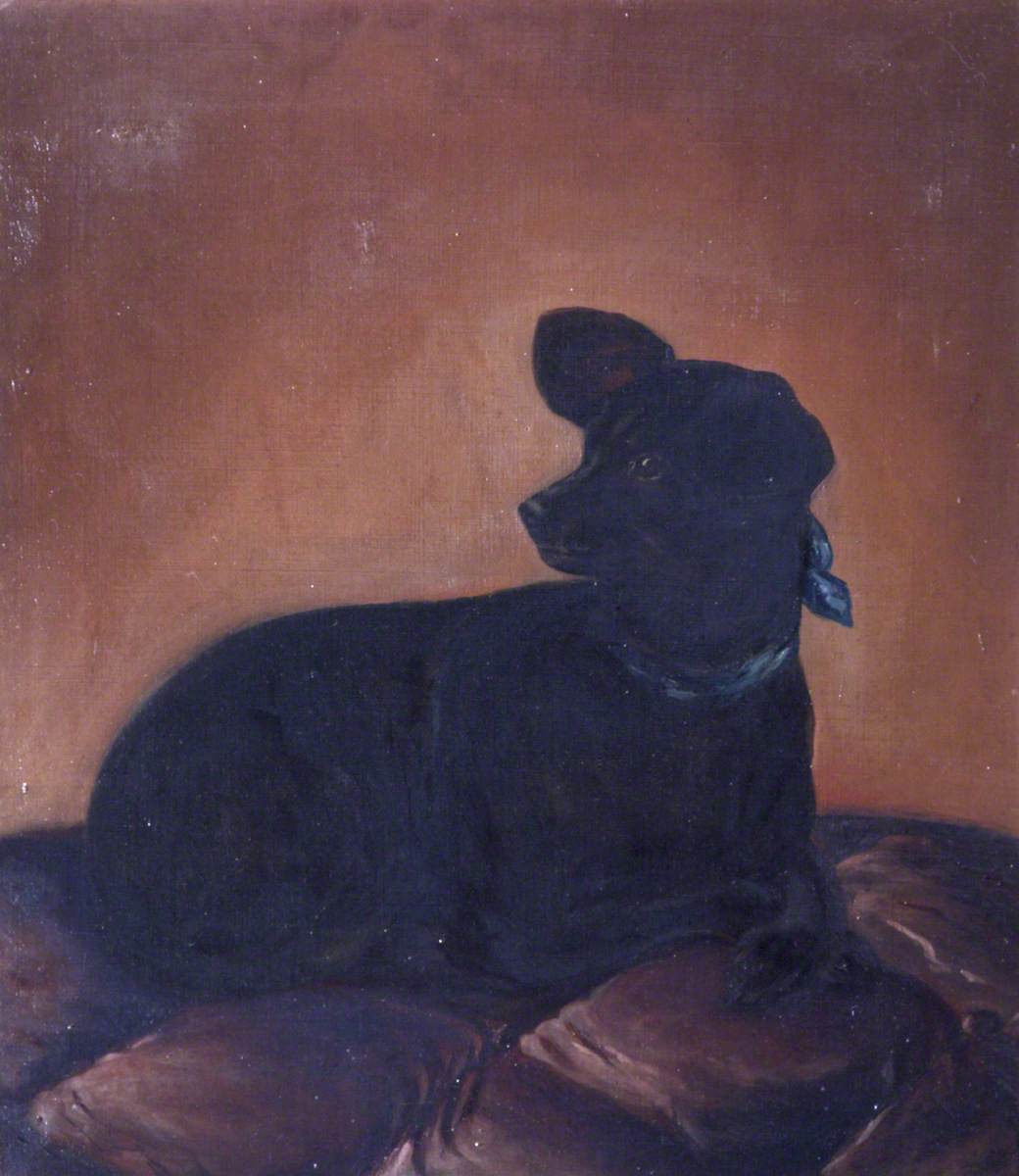 A Black Dog