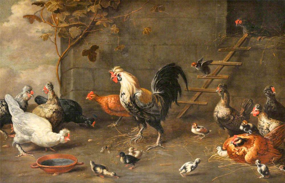 Poultry outside a Hen-House