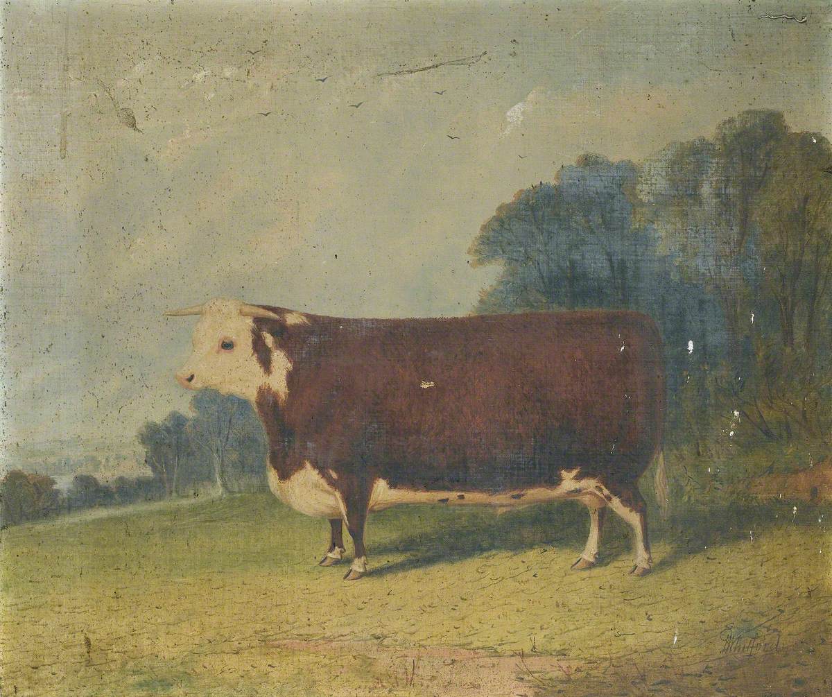 A Prize Cow in a Wooded River Landscape