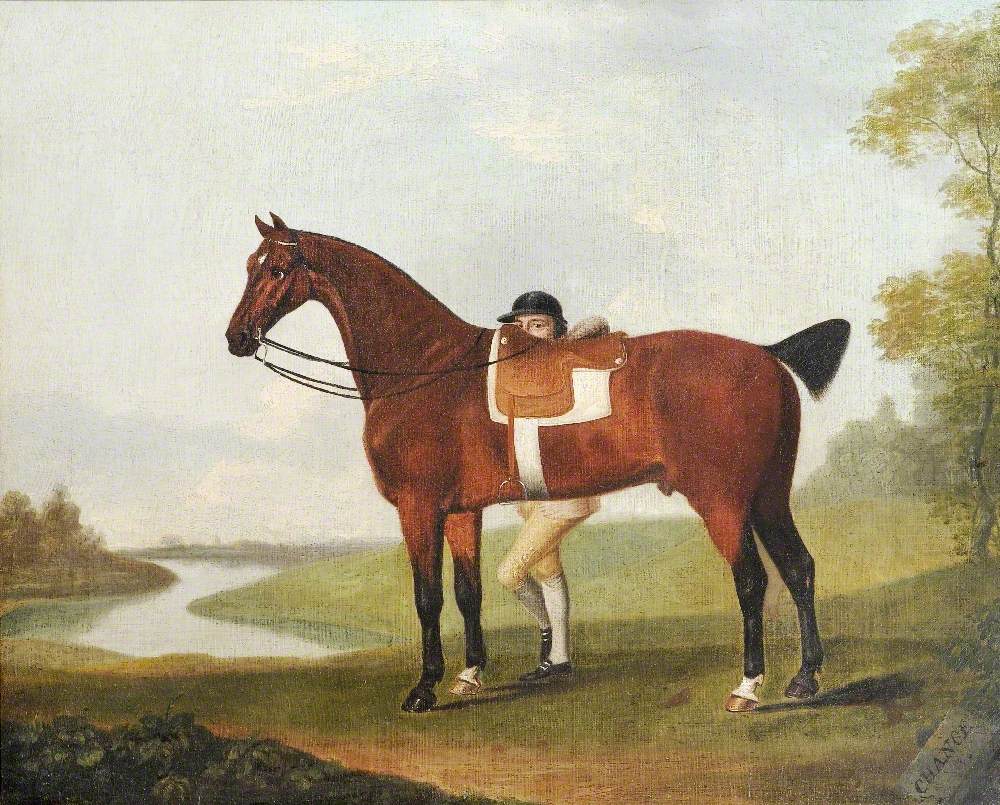 A Bay Horse, 'Chance', and a Jockey