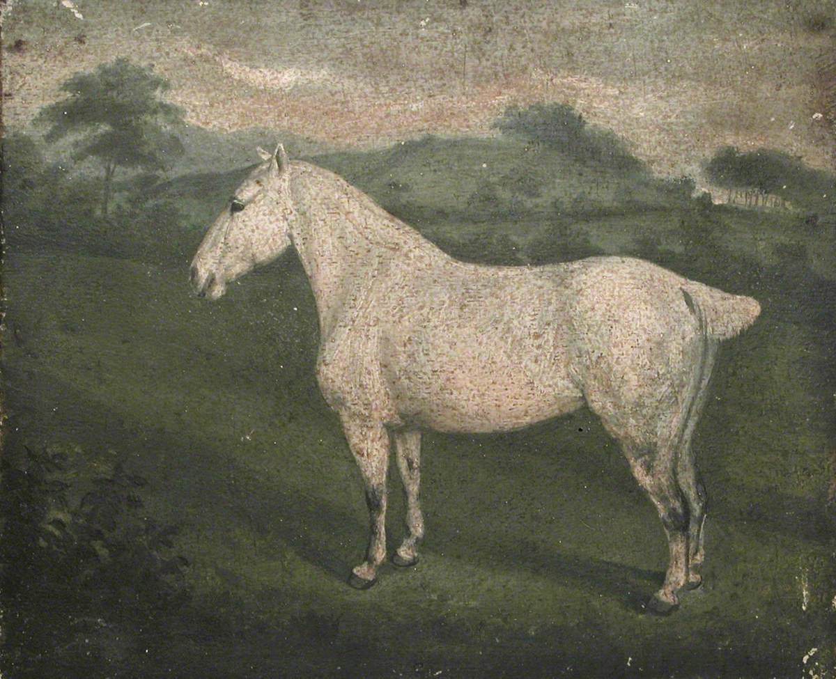 A White Horse
