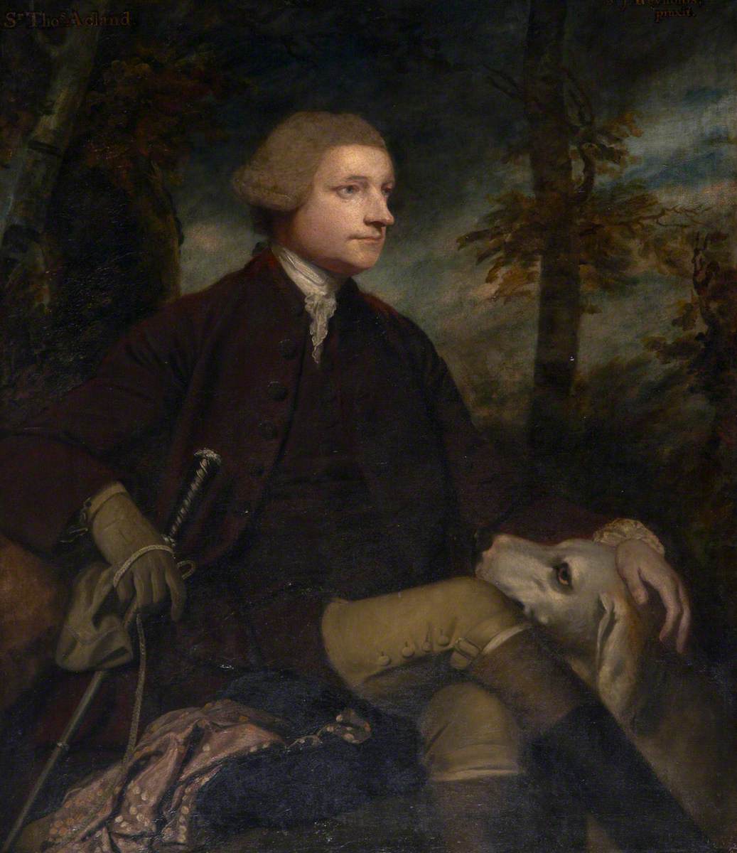 Sir Thomas Dyke Acland (1722–1785), 3rd Bt, MP