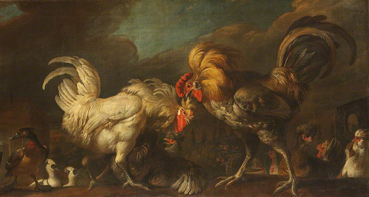 Two Cocks Fighting