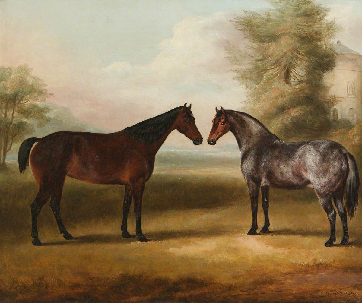 A Pair of Horses