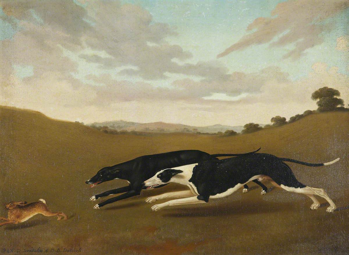 Two Greyhounds, Called ‘Deadalas’ and ‘Datchess'