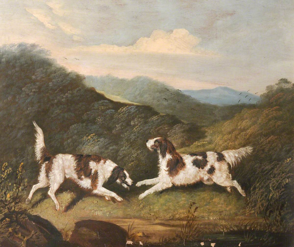 Two Springer Spaniels in a Landscape