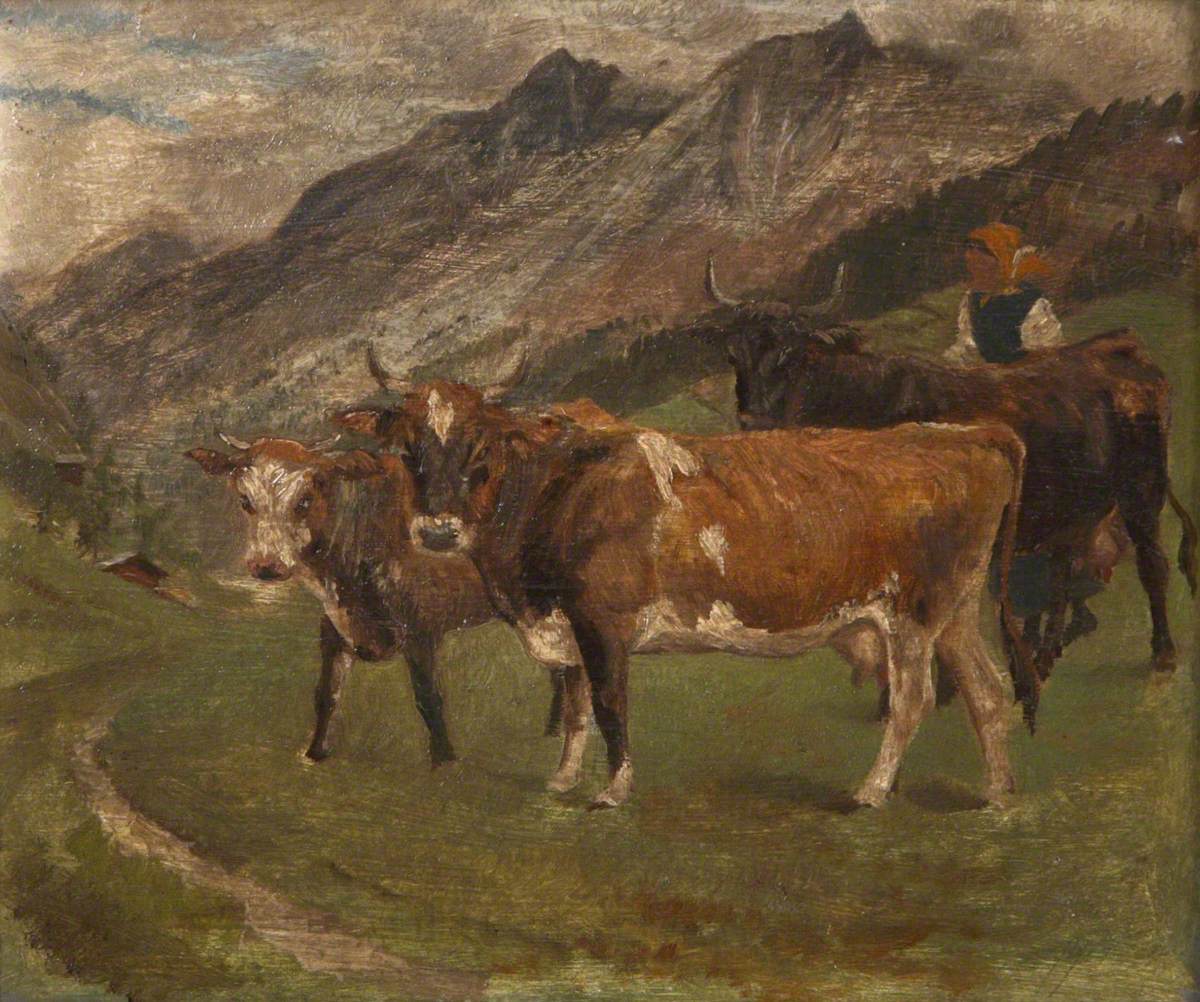 Cattle in the Italian Alps