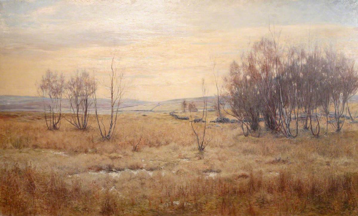 Moorland Landscape with Bare Trees