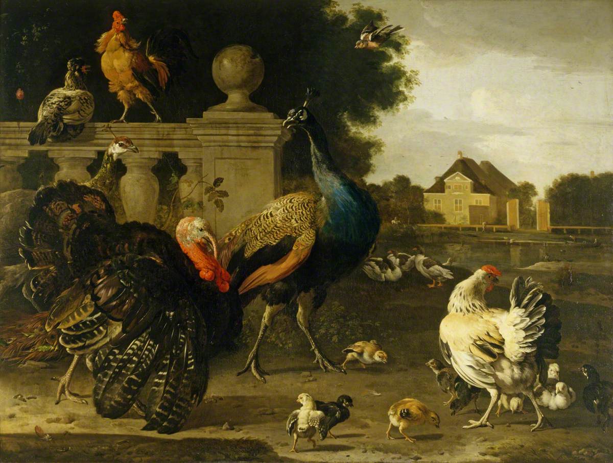A Turkey Cock and Other Birds in a Garden