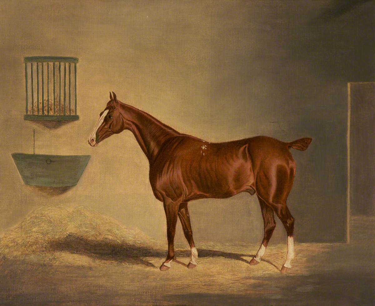 A Chestnut Horse in a Stable