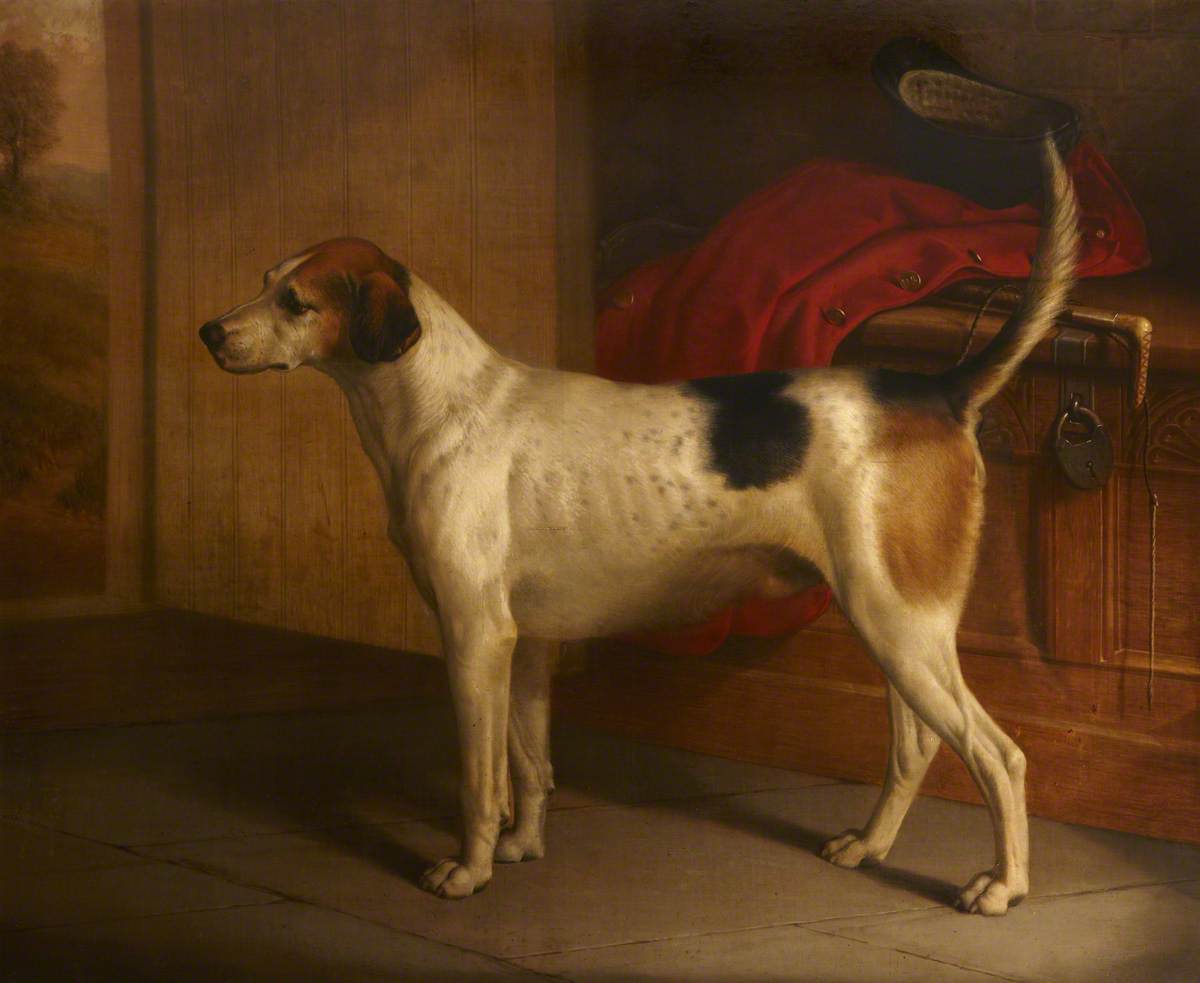 'Guardian': Portrait of a Foxhound