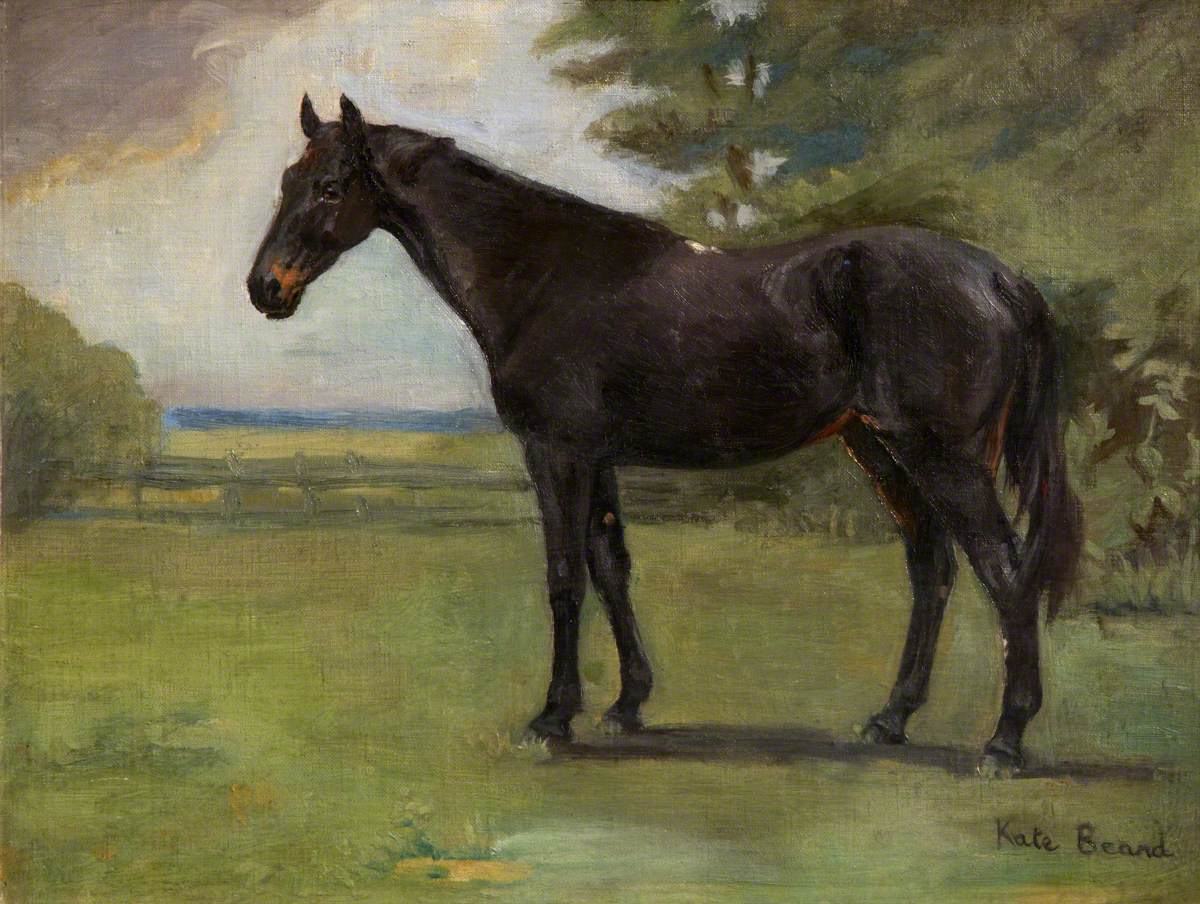 'Clare', a Dark Bay Horse in a Landscape